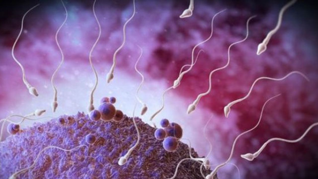 İngiltere'de hükümet desteğiyle sperm bankası açıldı