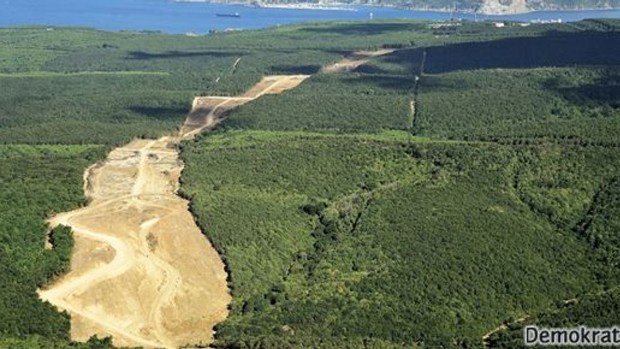 Ormanlık alanlar enerji için talan edilecek