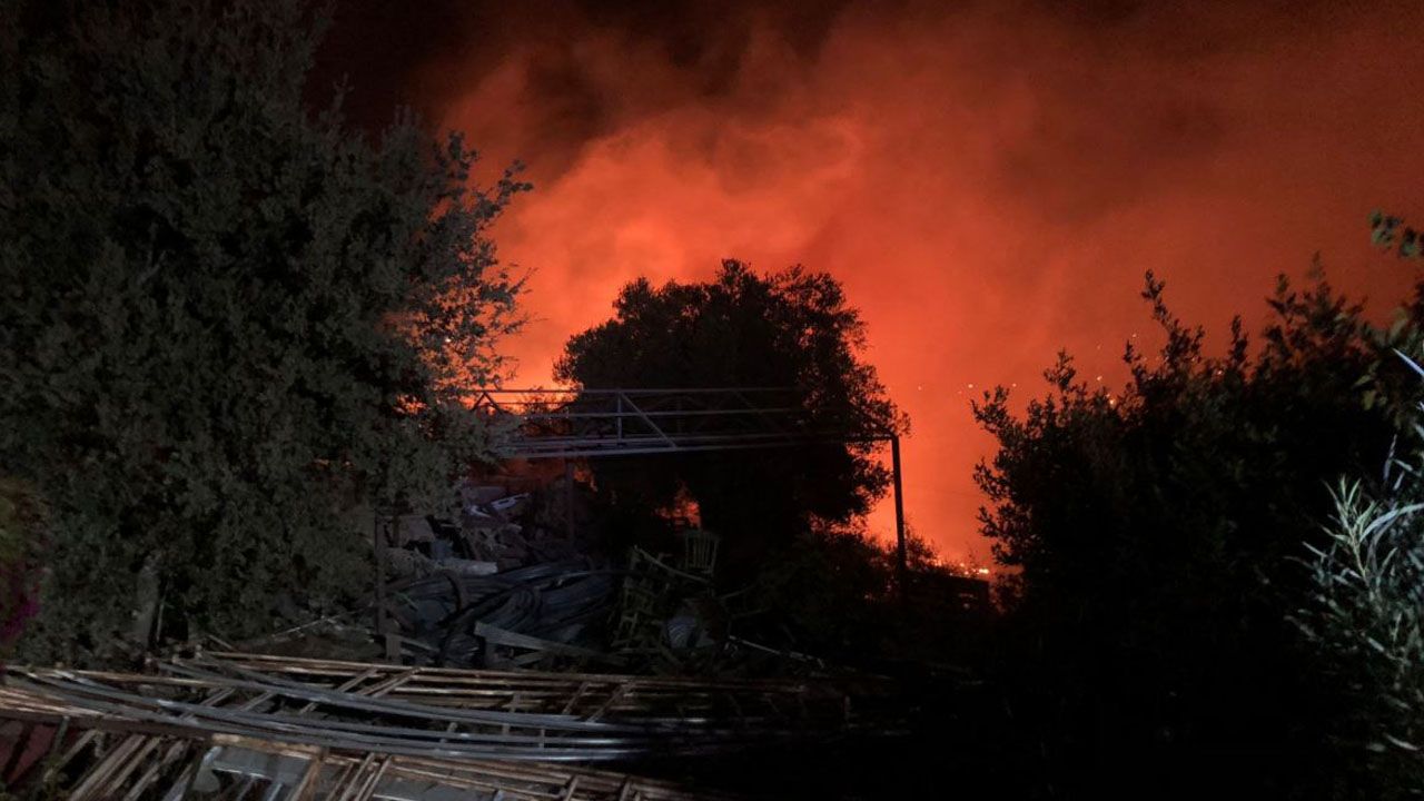 Bodrum'da makilik alanda yangın: Tarım arazilerine sıçradı