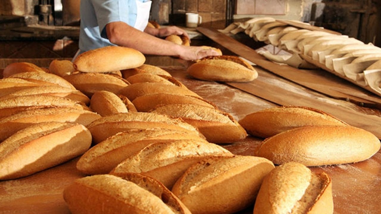 Fırıncılar Federasyonu'ndan ekmek zammı duyurusu: Genelge tüm illere gönderildi