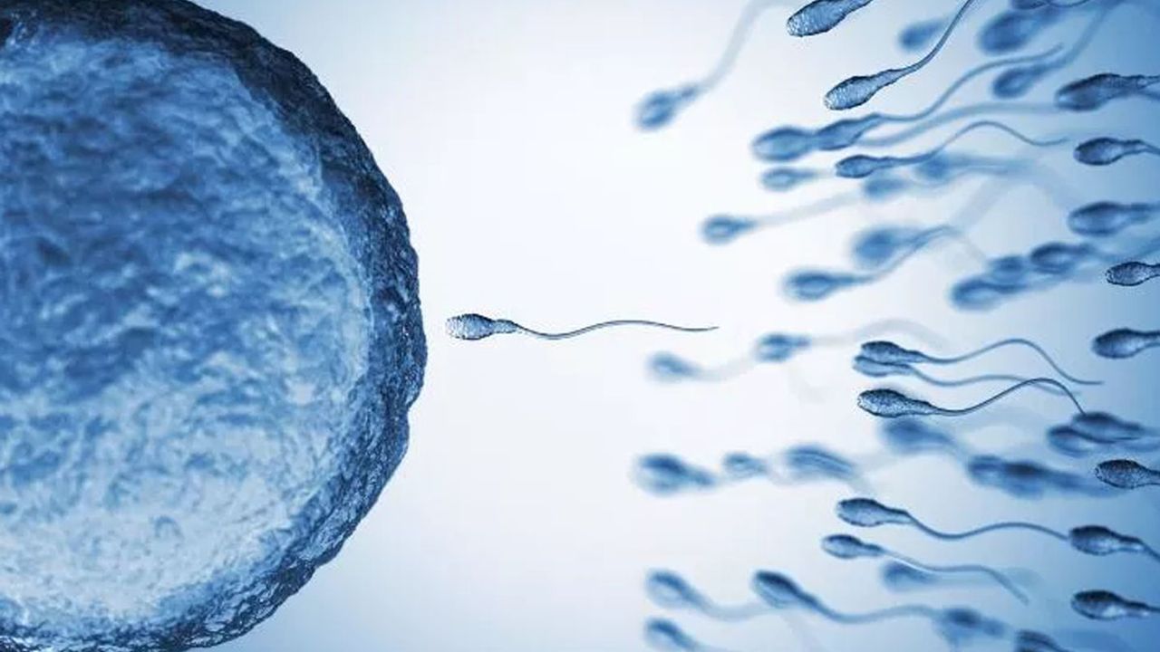 Araştırma: Hava kirliliği sperm sayısında azalmaya neden oluyor