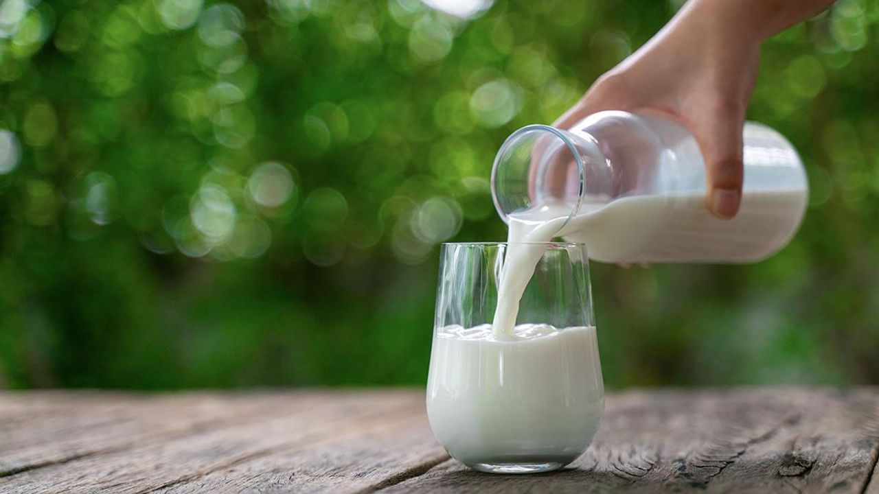 Tire Süt Kooperatifi Başkanı: 40 yıllık çiftçiyim, böyle bir kriz yaşamadık
