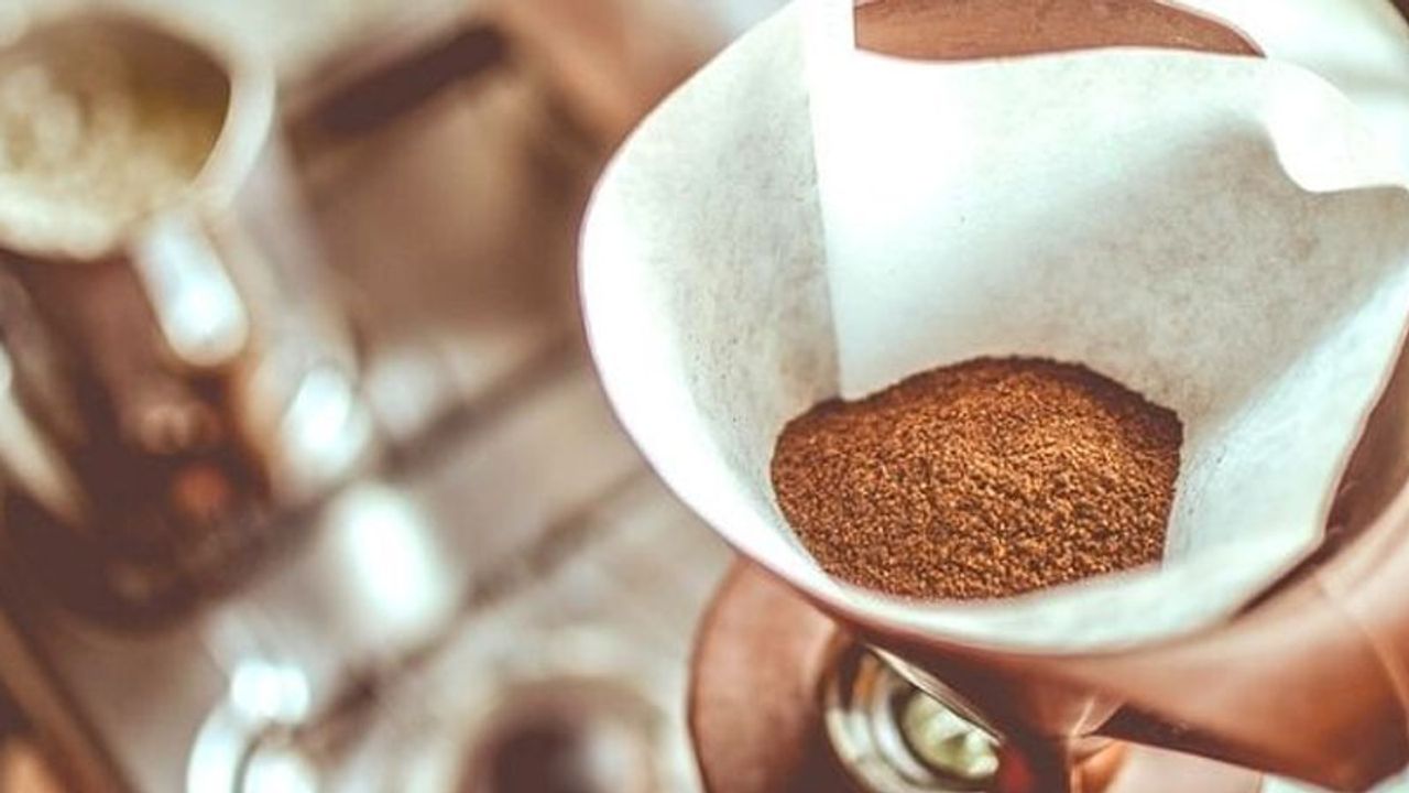 Filtre kahvenin kanserden koruyucu genetik şifreleri çözüldü