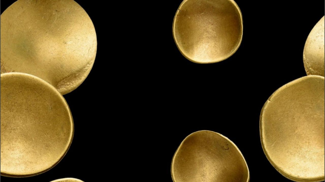 Kelt hazinesi keşfedildi: 41 altın sikke bulundu
