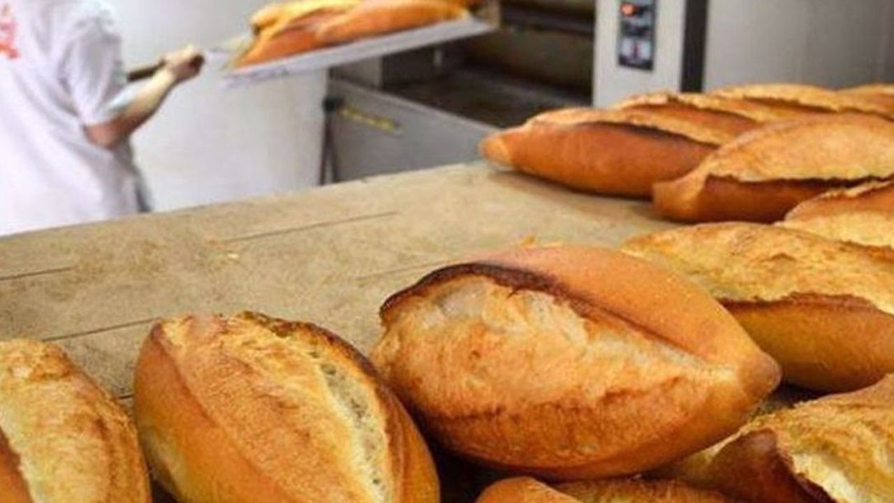 TMO'dan buğdaya zam: Ekmek fiyatlarına yansıması bekleniyor