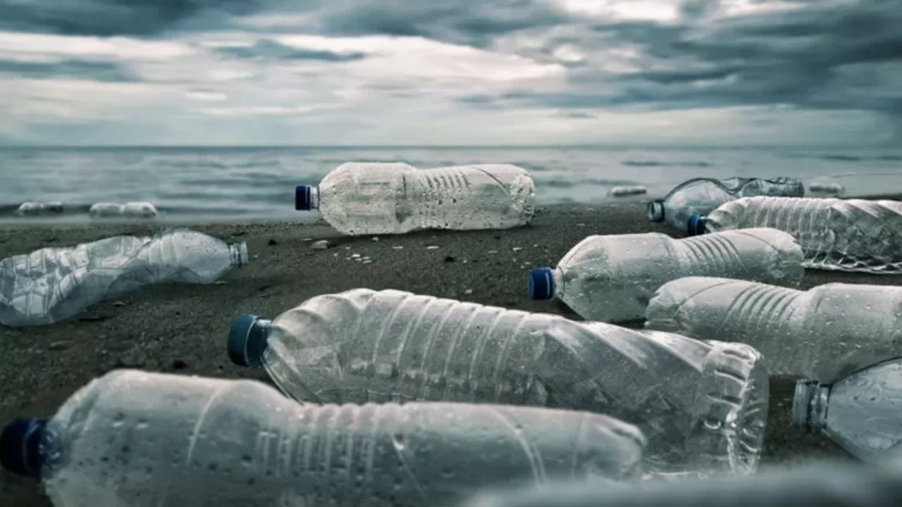 'Plastik atık krizinin çözümü için uluslararası anlaşma gerek'