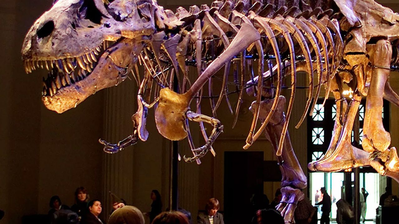 Bilim insanları, dinozorların da solunum rahatsızlığı yaşadığını tespit etti