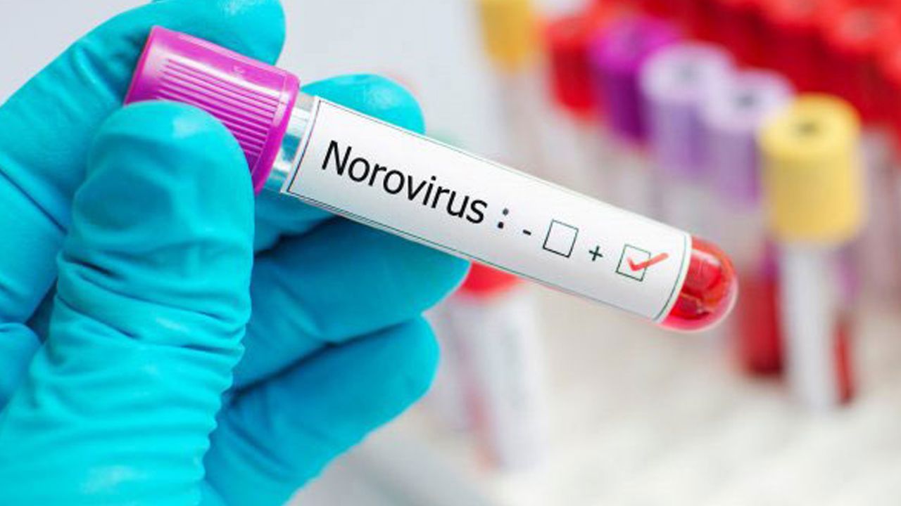 Bilecik'te salgının nedeni norovirüs çıktı