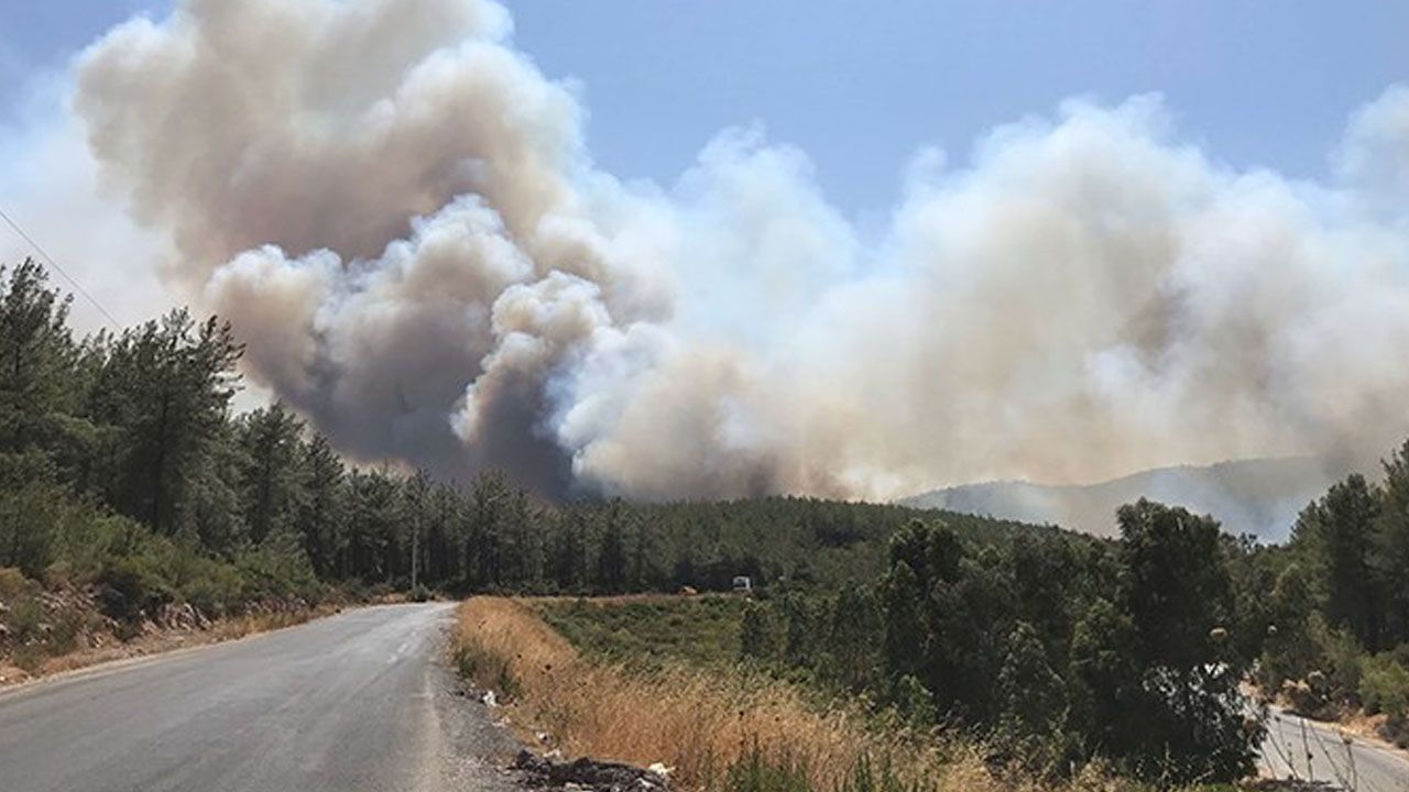 Bodrum'da orman yangını: Müdahale güçlükle sürüyor