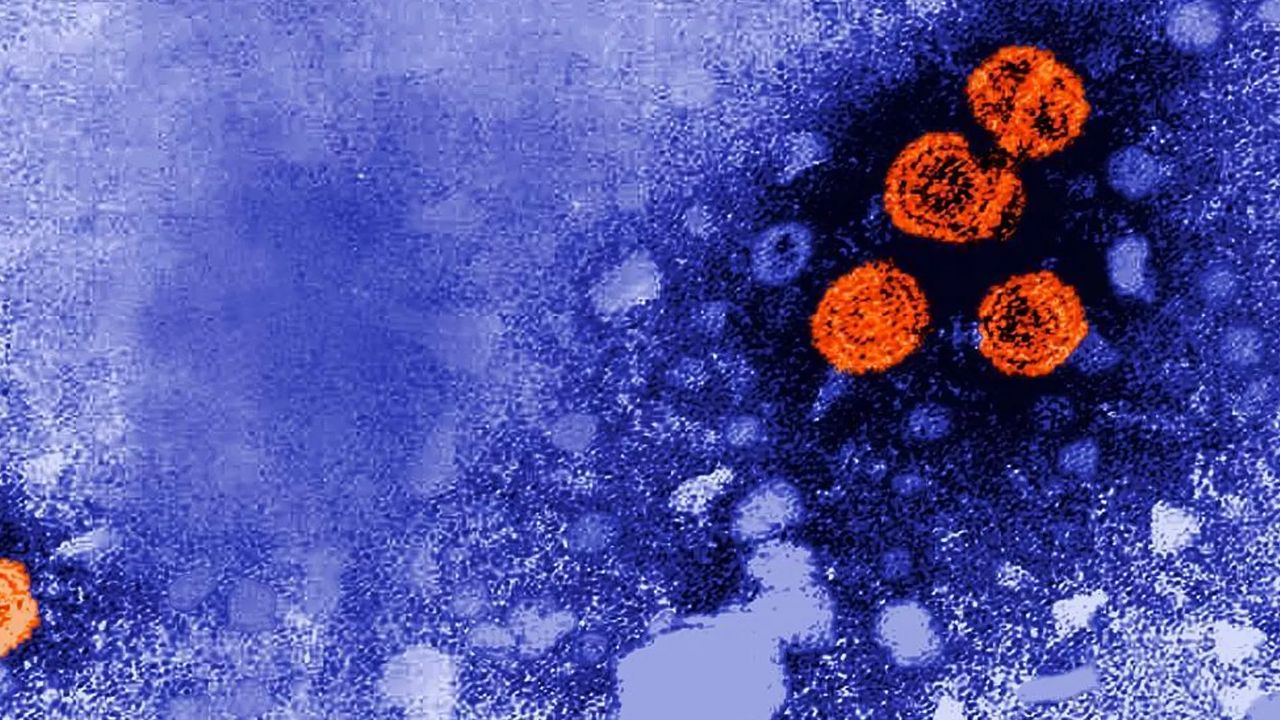 ABD'nin 25 eyaletinde 5 çocuğun ölümüne yol açan hepatit salgını araştırılıyor