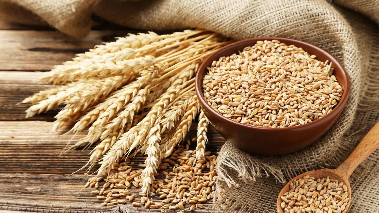 BM Gıda Görünümü raporu yayımlandı: Türkiye neden en çok buğday ithal eden 3. ülke?