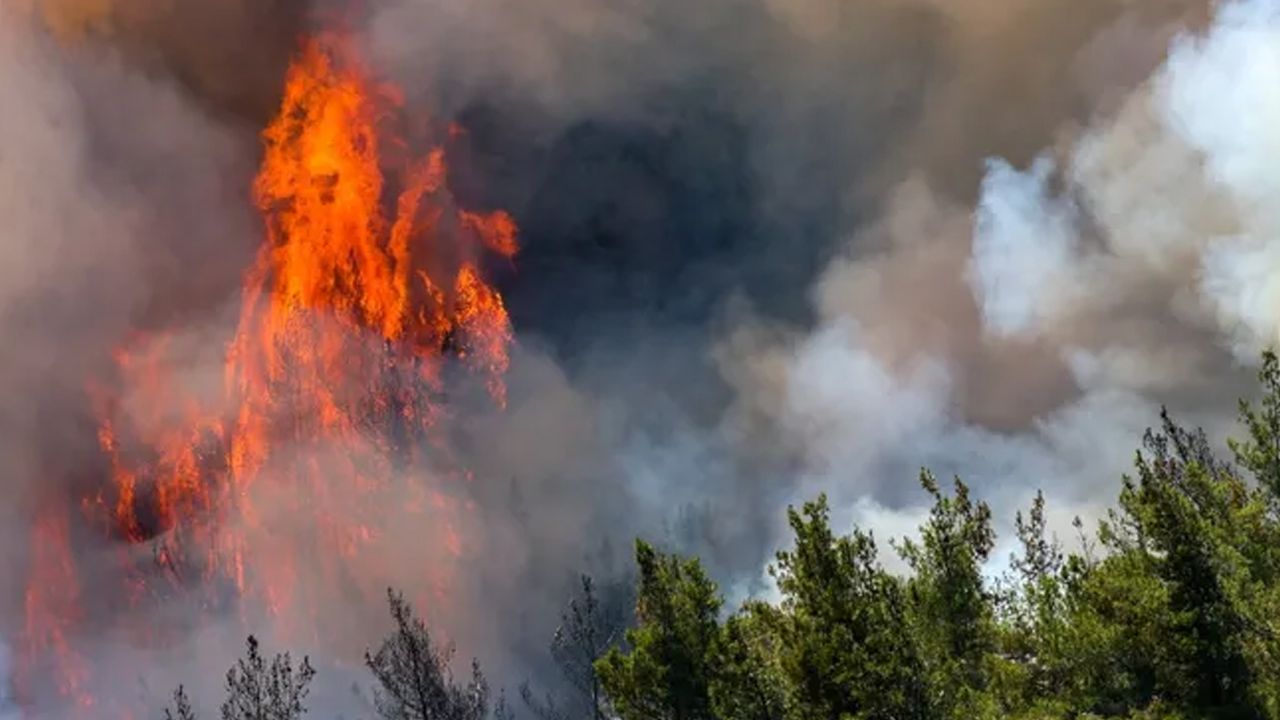 Antalya'da orman yangını: Teleferik seferleri durduruldu