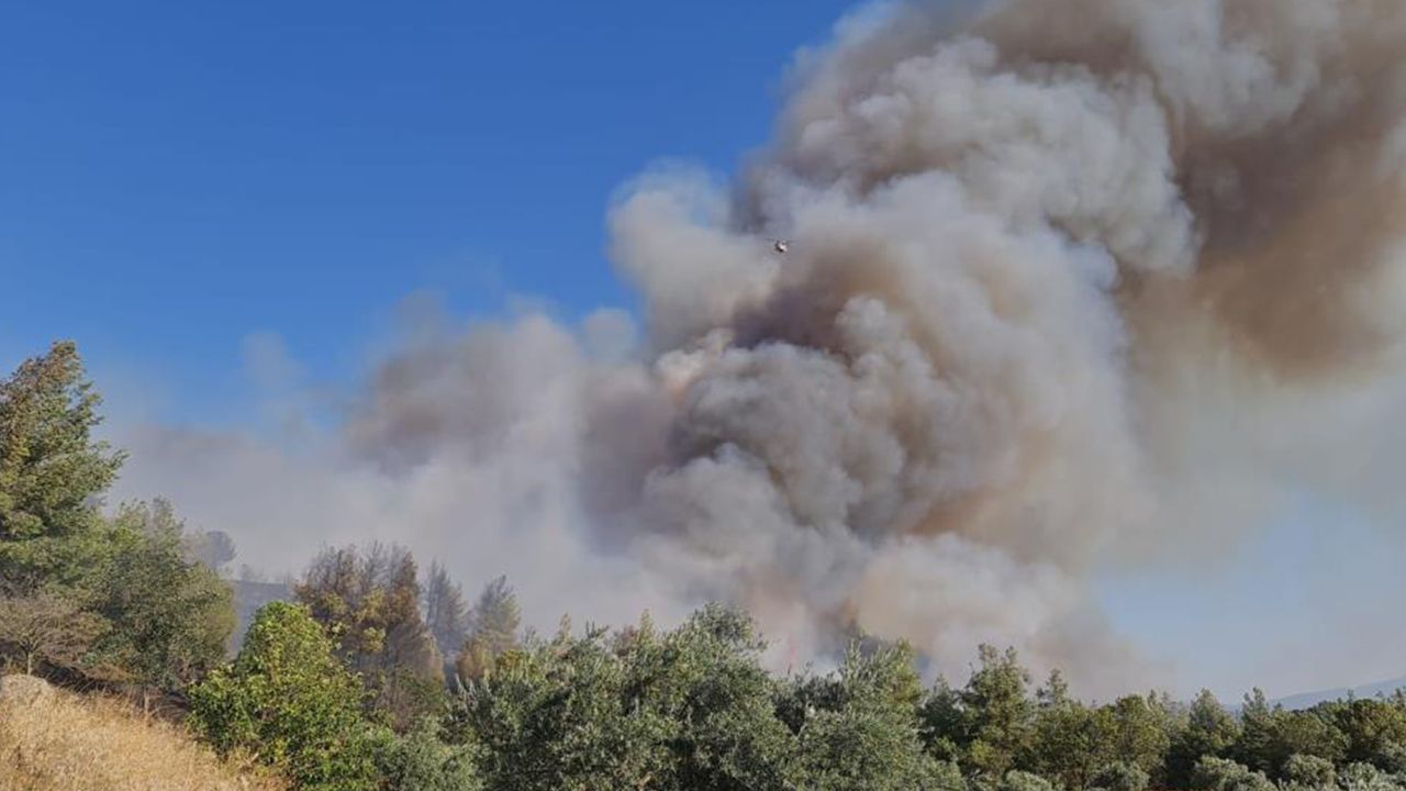Balıkesir, İzmir ve Aydın'da orman yangını