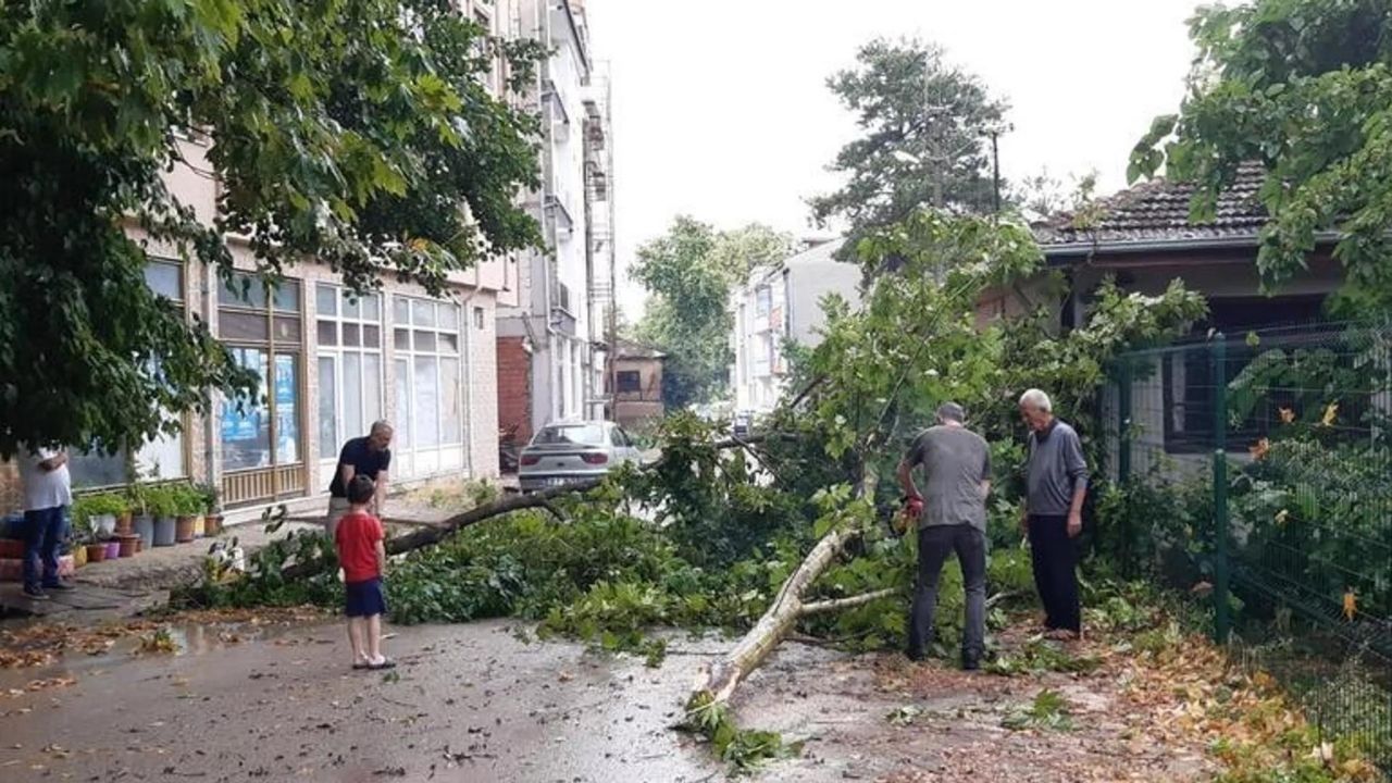 Bursa'da sağanak ve fırtına etkili oldu: Ağaçlar devrildi, caddelerle sokaklar suyla doldu