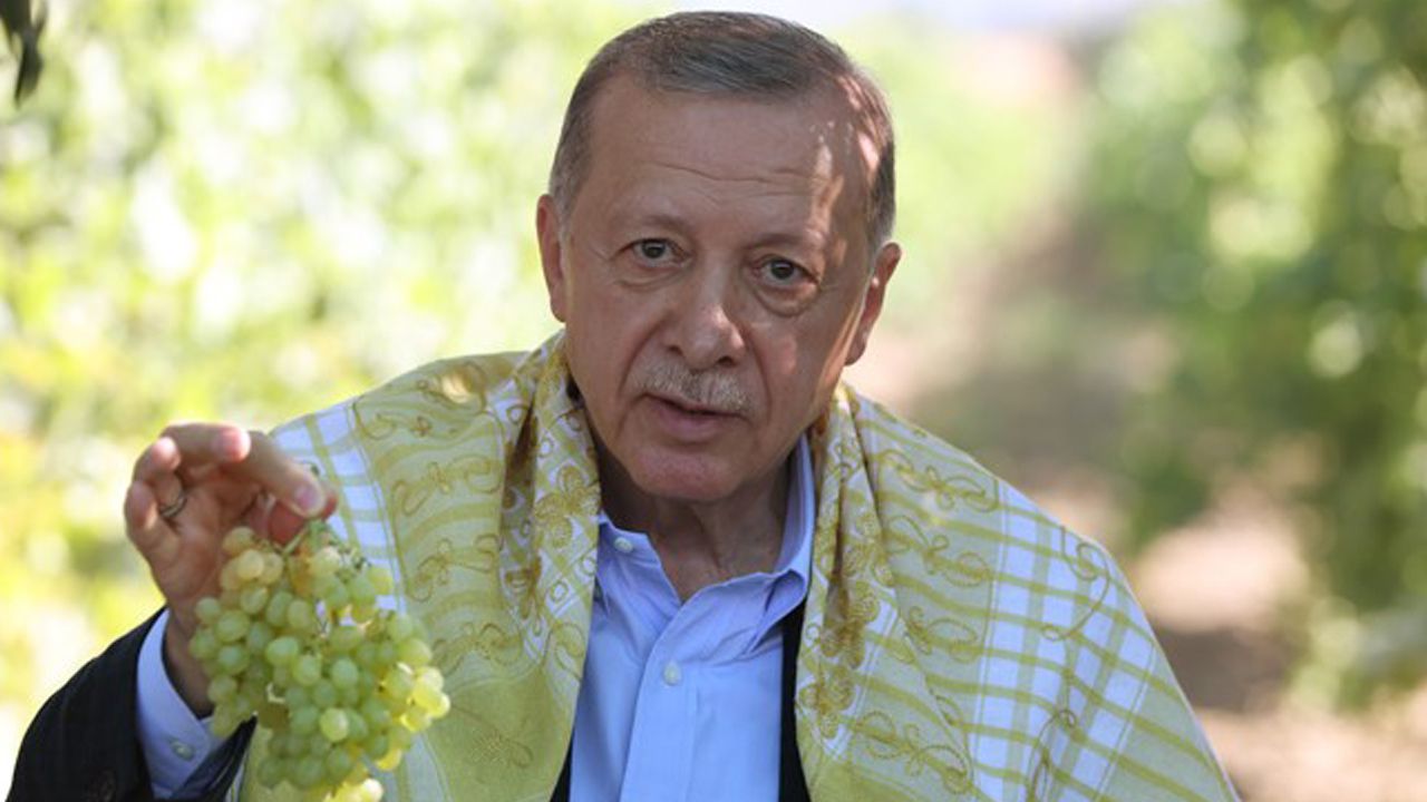 Erdoğan, kuru üzüm alım fiyatını açıkladı