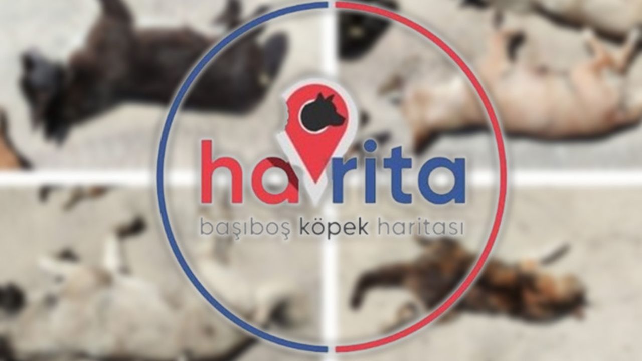 İstanbul Barosu 'Havrita'ya karşı harekete geçiyor