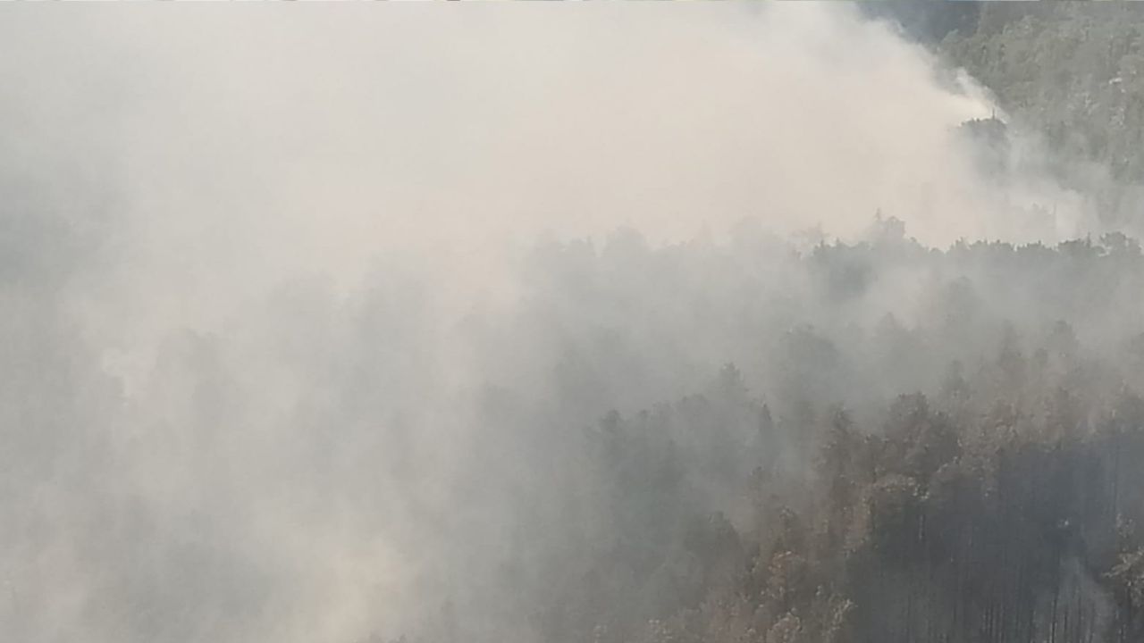 Mersin'de orman yangını 3'üncü gününde