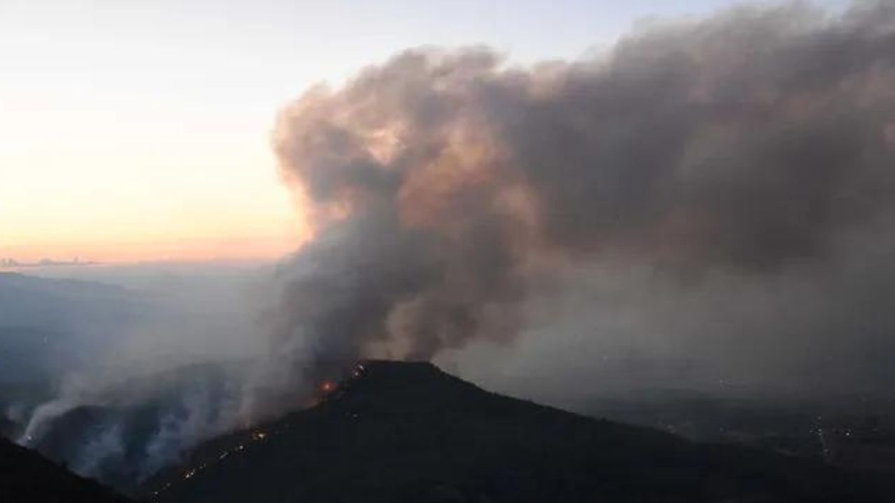 Muğla'da yerleşim yerleri yakınında orman yangını