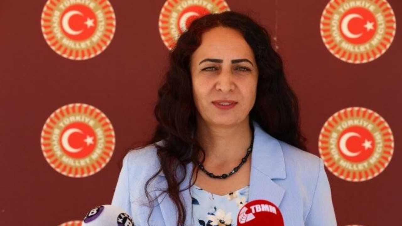 HDP'li Işık: Şiddet kullanarak basın emekçilerinin işlerini yapmalarını engellemek, hukuk devleti ilkesinin ihlalidir