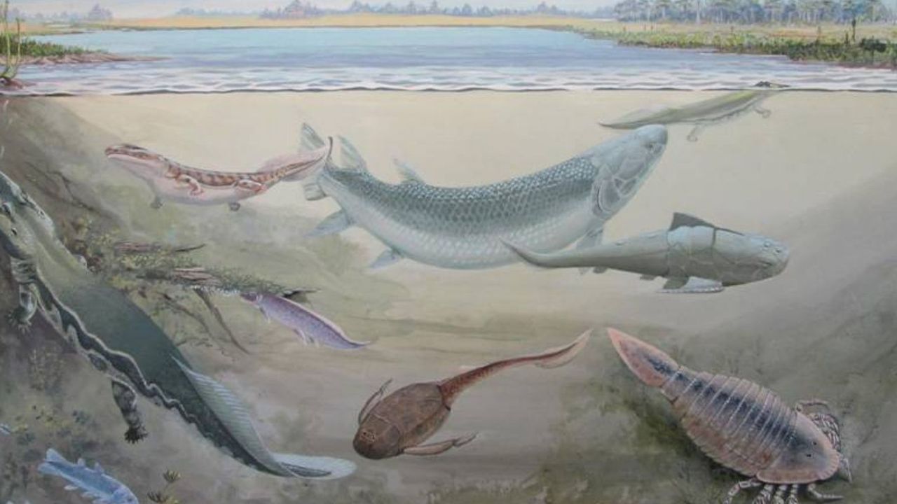 360 milyon yıl önce yaşamış dev balık keşfedildi: İnsanların atalarını avlamış olabilir