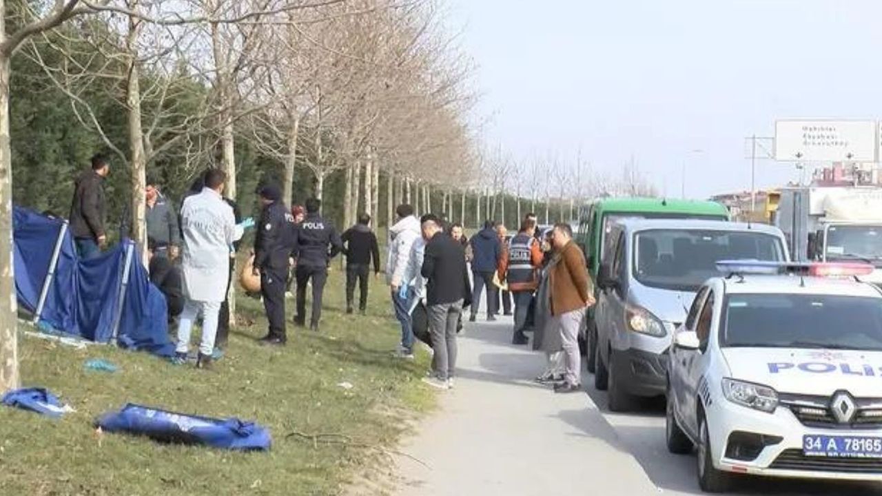Üniversitesi öğrencisi yol kenarında ölü bulundu