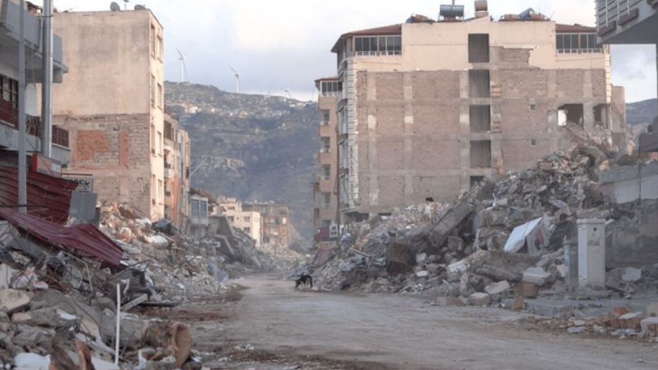Depremlerde yaşamını yitirenlerin sayısı 44 bin 374 kişiye yükseldi