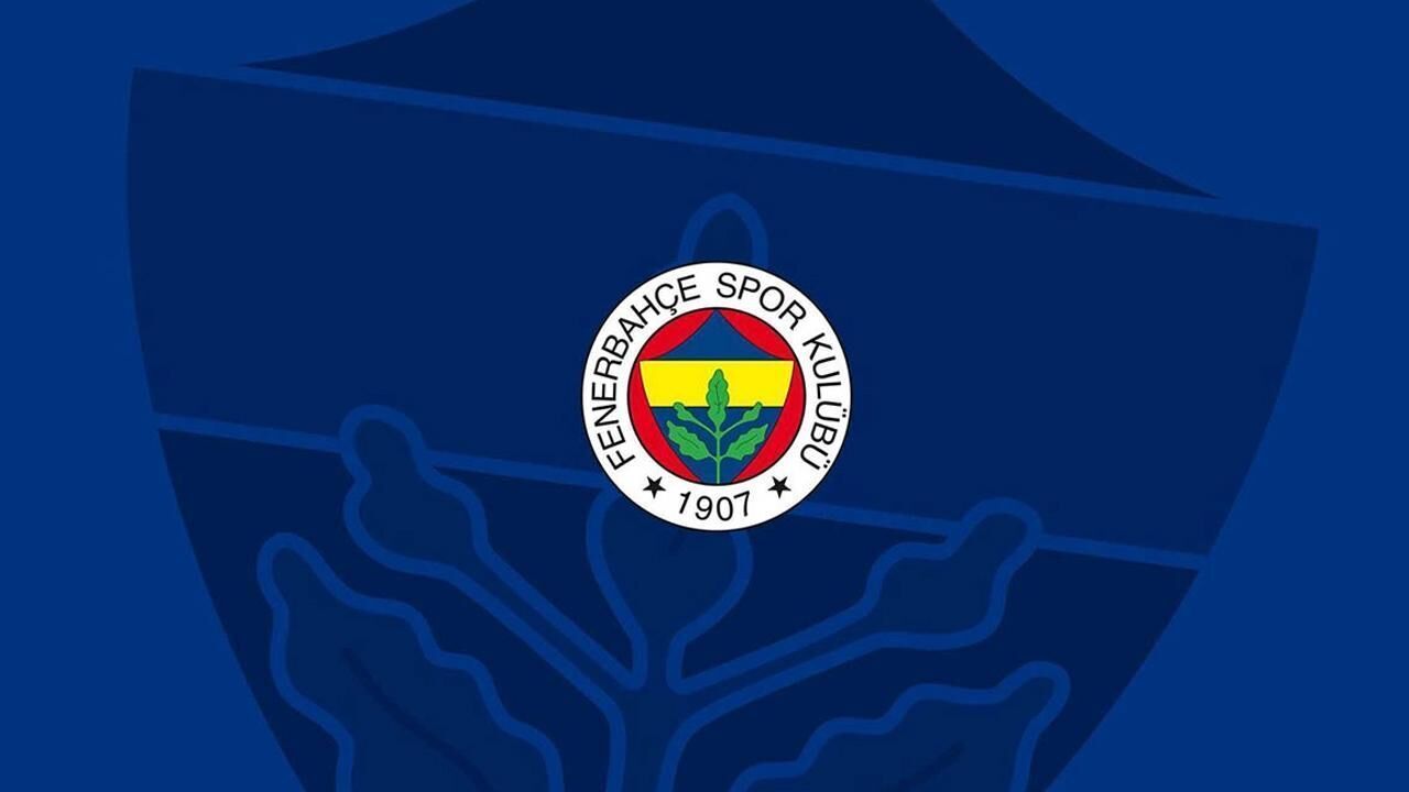 Hakan Safi, Fenerbahçe'de başkanlığa adaylığını açıkladı