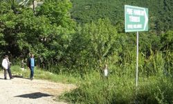 Bingöl'de türbelerini ziyaret etmek isteyen Alevilere jandarma engeli