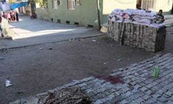 Şırnak'ta 19 yaşında bir genç öldürüldü; tanıklar, 'Cenaze 300 metre sürüklendi' diyor