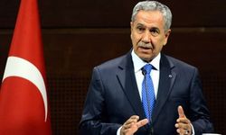 Bülent Arınç: Çınarın gölgesinde güneş görmemiş daha bir çok hakikat var