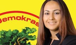 Silvan Belediyesi Eş Başkanı Yüksel Bodakçi tahliye edildi