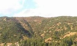 Hakkari'de yasak 15 gün daha uzatıldı