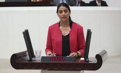 HDP'li Feleknas Uca: Erdoğan, Ezidi halkını tehdit etmekten vazgeçmeli