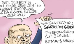 Sefer Selvi'den Erdoğan'ın 'kalite' sözleri