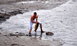 Çanakkale’de gölet kurudu, yüzlerce dev sazan balığı öldü