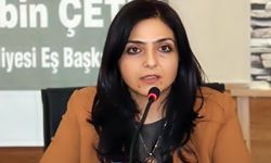 Yerine kayyım atanan Ertan BM'de konuştu