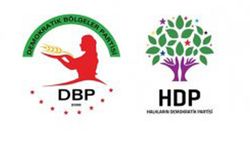 Kars'ta HDP ve DBP eş başkanları tutuklandı