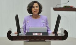 Filiz Kerestecioğlu'ndan AKP'ye: Bilinmesini mi istemiyorsunuz?