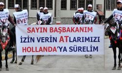 "İzin ver atlarımızı Hollanda’ya sürelim"