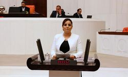 Selina Doğan, HDV’nin ‘Medyada Nefret Söylemi’ raporunu Meclis’e taşıdı