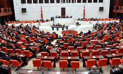 İçtüzük görüşmeleri: Kürtçe ifadeler tutanaklara 'X' olarak geçti