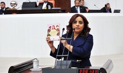 Selina Doğan'dan Agos yasağına dair soru önergesi