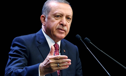 "Erdoğan'ın ömür boyu dokunulmazlık sıfatına sahip olması hukuksuzluktur"