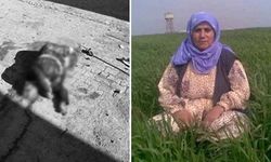 Taybet İnan anısına çekilen 'Yedi Gün Yedi Gece'ye ödül