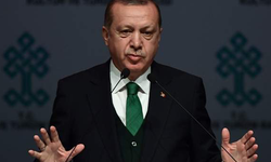 'Akıllı olanlar Türkiye'yi terk etti gitti, aklı yetmeyenler burada tuzağa düştü'