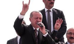 Erdoğan'a bozkurt işareti yaptığı için gözaltına alınan kadın: Benim günahım neydi?