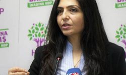 Yerine kayyım atanan Ertan için hapis istemi