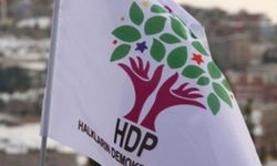 HDP'nin milletvekili adayı tutuklandı