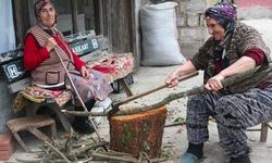 Hemşince 'Tehlike altındaki diller' listesinde