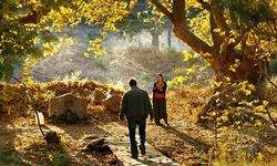 'Ahlat Ağacı' Londra Film Festivali'nde